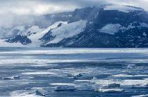 Quark's Antarctic cruises to Snow Hill Island's Emperor Penguin colony