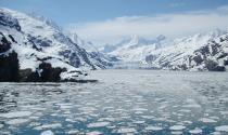 ACL-American Cruise Lines introduces new 2024 Alaskan itineraries