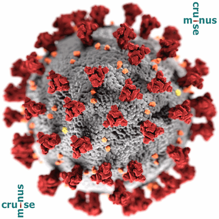 Coronavirus on cruise ships - CruiseMapper CruiseMinus