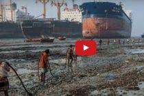Where Ships Go to Die