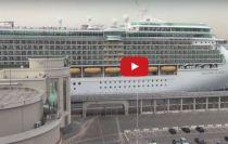 Cruise Ship Horns - Majestic Princess vs Freedom of the Seas