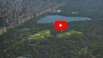 VIDEO: Explore New York with Cunard