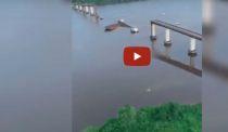 VIDEO: Ferry Hits Bridge in Brazil Sending Two Cars into River