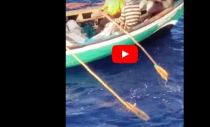 VIDEO: Carnival Cruise Ship Rescues 7 Haitian Fishermen