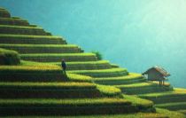 5 of the Best Southeast Asia Cruise Destinations