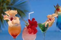Carnival Cruise Drink Recipes