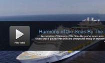 Harmony of the Seas By The Numbers: VIDEO