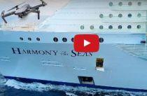 Cruise Chase Harmony of the Seas: VIDEO