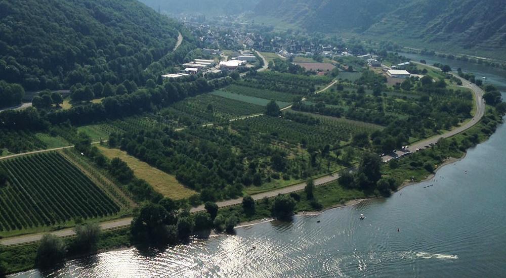 Winningen-Mosel port photo Winningen-Mosel port photo