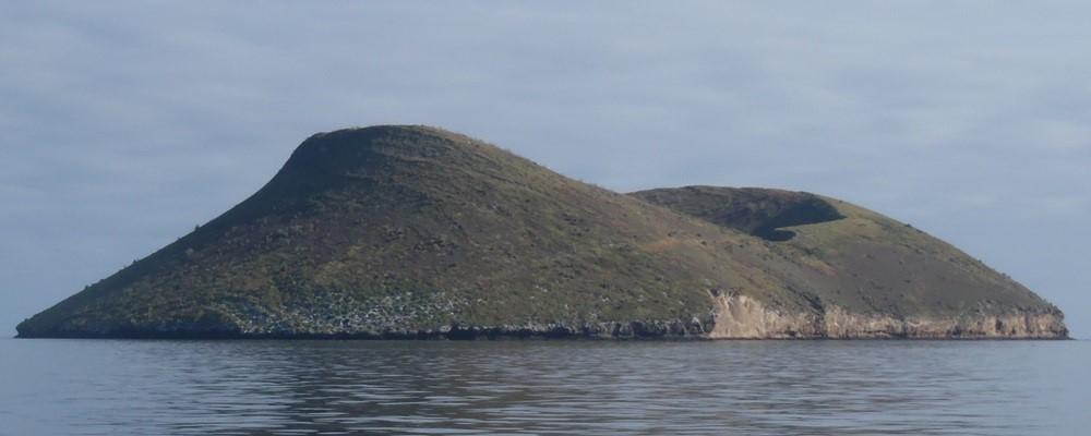 Daphne Island (Galapagos) Daphne Major