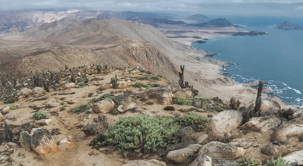 Pan de Azucar Island port photo Pan de Azucar Island port photo