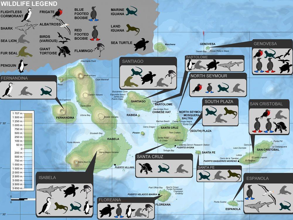 Galapagos Islands map (animals)