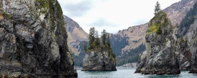 Port Of Seattle Cruise Schedule 2022