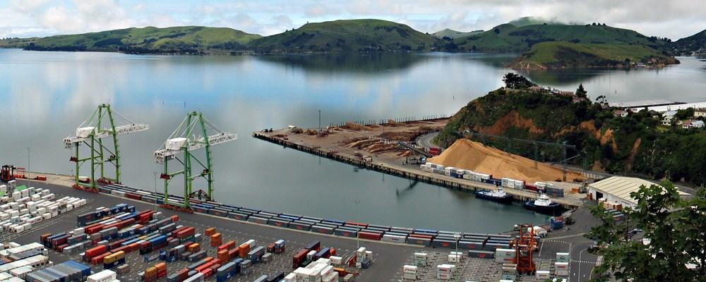 Dunedin NZ cruise ship terminal Port Chalmers