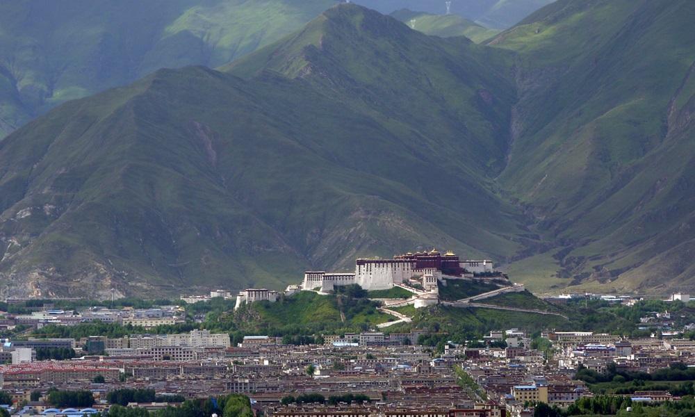 Lhasa port photo Lhasa port photo