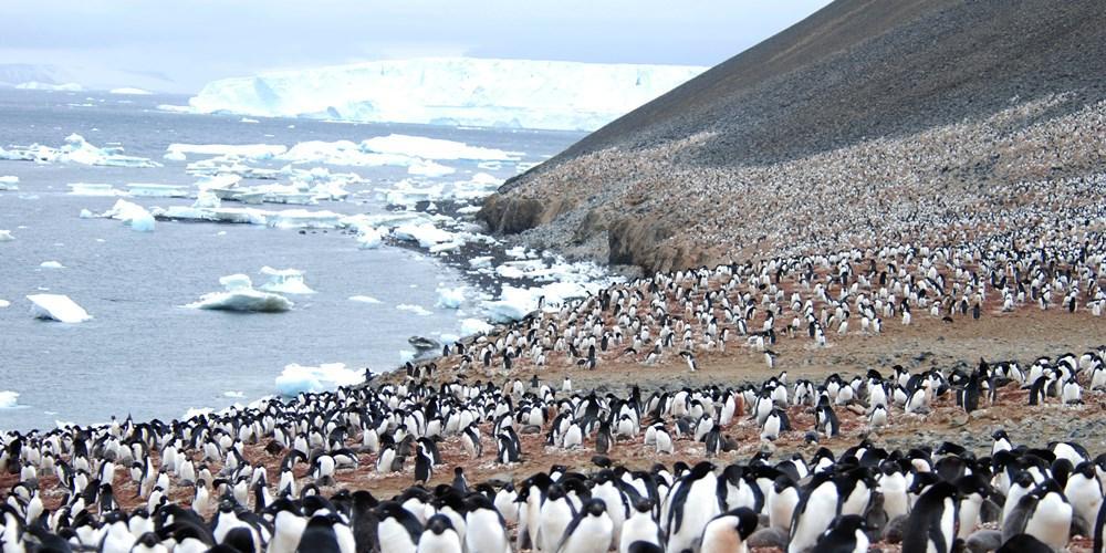 Devil Island Port (Antarctica)