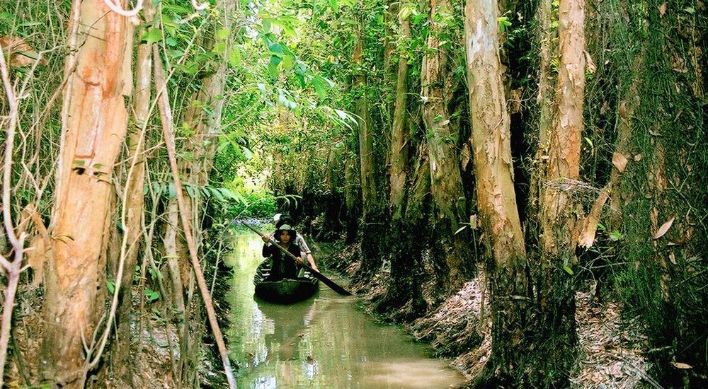 Xeo Quyt Forest port photo