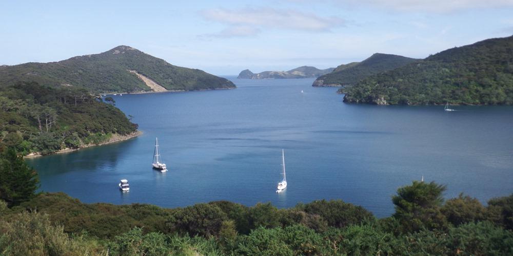 Great Barrier Island (New Zealand)