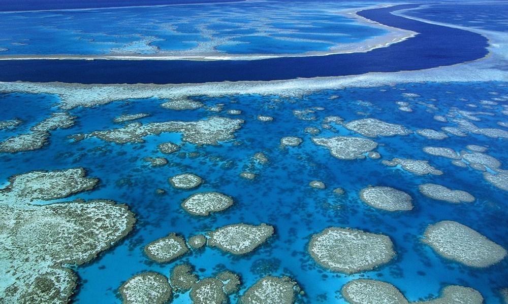 Great Barrier Reef (Queensland Australia)