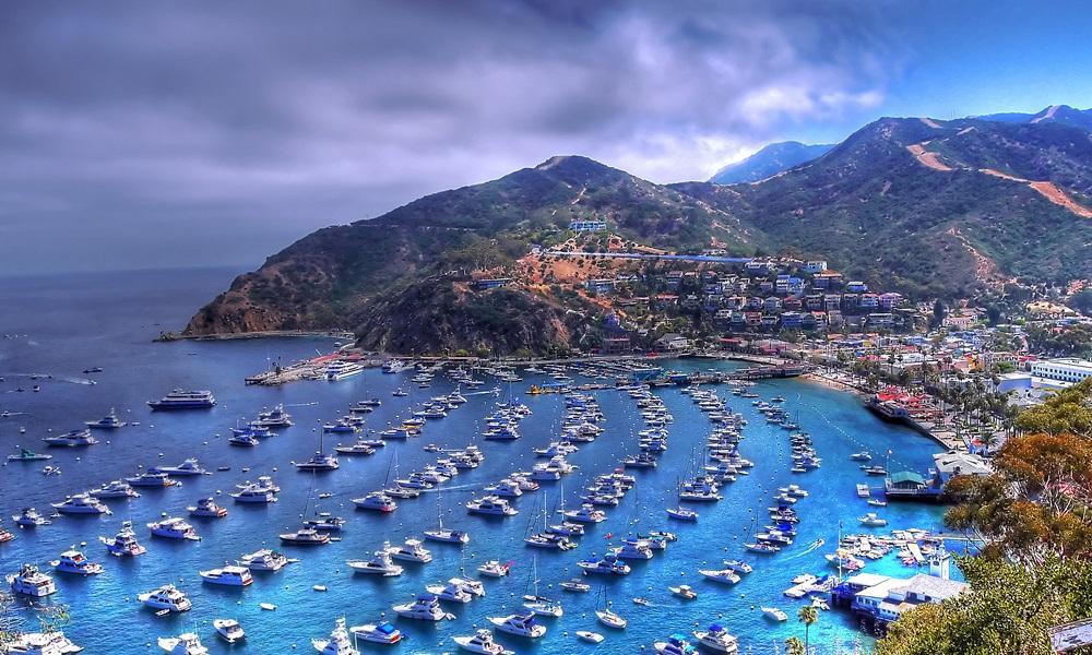 cruise around catalina island