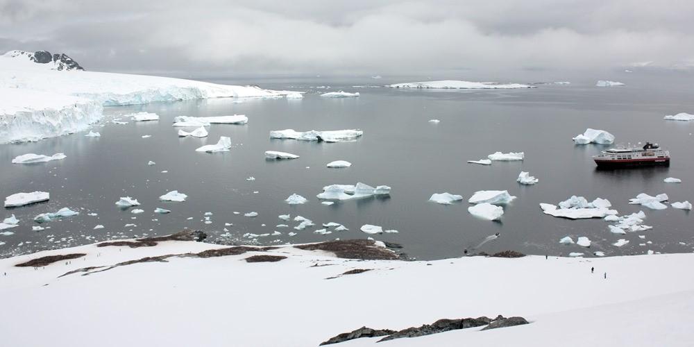 Cuverville Island (Antarctica) cruise port schedule | CruiseMapper