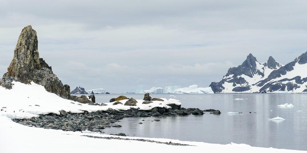 Half Moon Island (Antarctica)