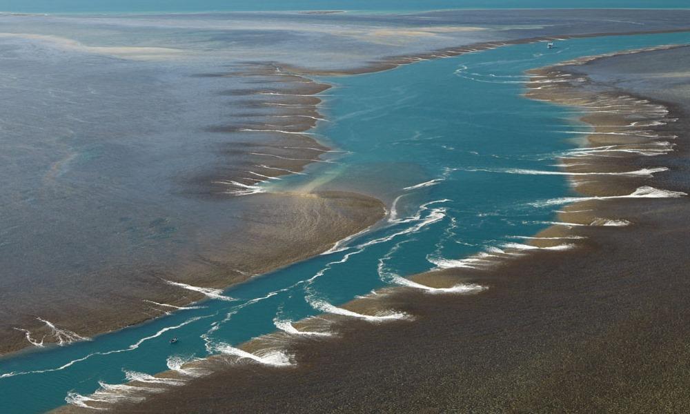 montgomery reef cruise