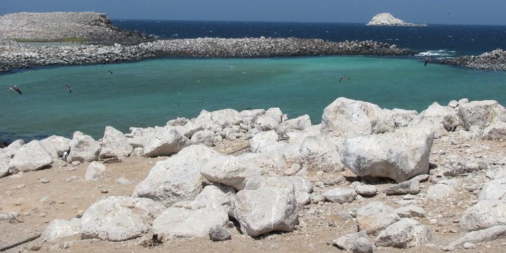 Isla Rasa port photo Isla Rasa port photo