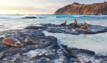 Capsized Ship Spills 2,500L Oil in Galapagos