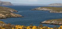 Falkland Islands Debates Cruise Visitors' Landing Fee