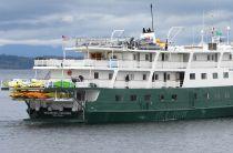 Humpback Whale Gets Entangled in Anchor of Cruise Ship in Alaska